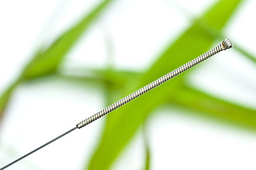 Image showing acupuncture needle