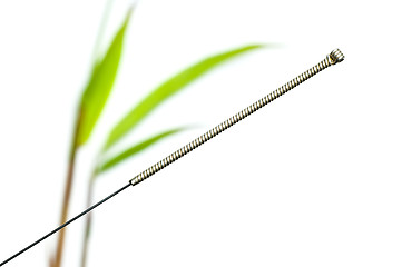 Image showing acupuncture needle