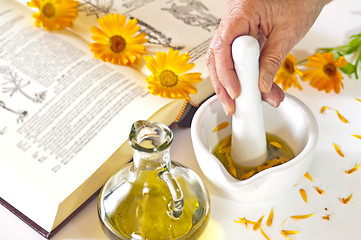 Image showing preparing of calendula oil
