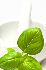 Image showing basil with mortar