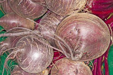 Image showing beetroot