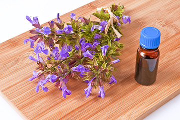 Image showing bunch of sage with herbal tincture