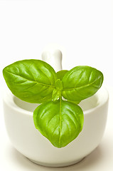 Image showing basil with mortar