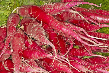 Image showing red radish