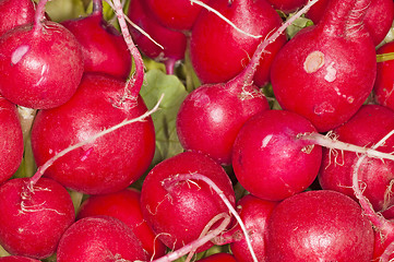 Image showing radish