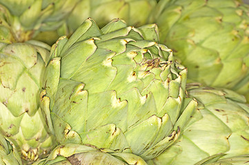 Image showing artichoke