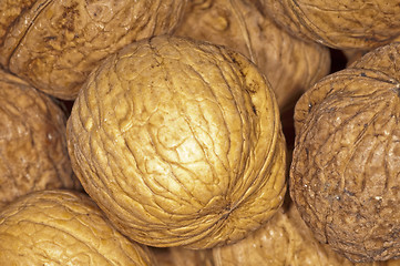 Image showing walnut