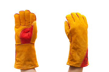 Image showing work gloves