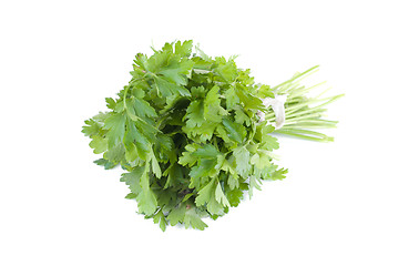 Image showing bunch of parsley