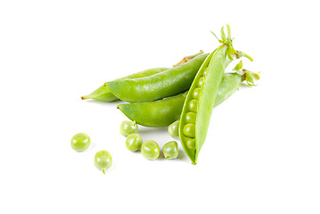 Image showing Ripe pea