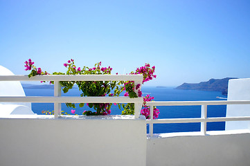 Image showing Santorini terrace with flowers