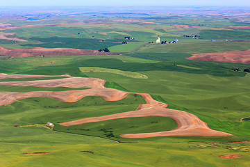 Image showing Hills of Palouse