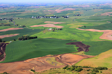 Image showing Rolling Hills of Palouse