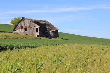 Image showing Dilapidated Farm House