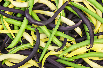 Image showing Abstract background: mix of green, yellow and black wax beans