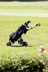 Image showing golfbag on a golf course in summer 