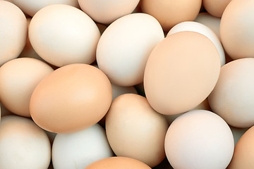 Image showing Pile of chicken eggs