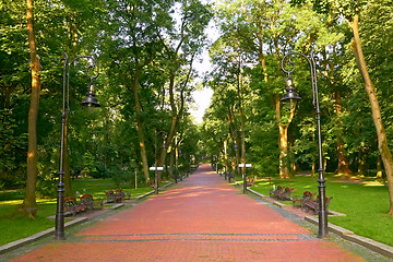 Image showing Paved park alley in the morning