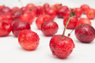 Image showing Cherries