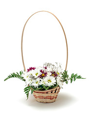 Image showing Vibrant Flowers Daisies in Basket