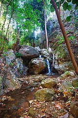 Image showing small waterfall in stream