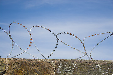 Image showing Barbed wire