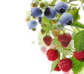 Image showing Fresh Berries 