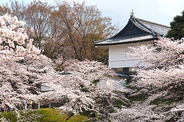 Image showing Tokyo