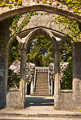 Image showing Armadale Castle Gardens