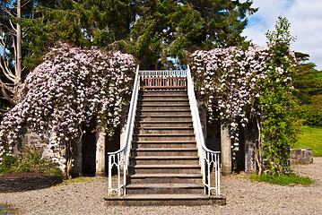 Image showing Armadale Castle Gardens