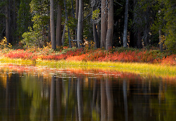 Image showing Trees and foliage reflecting their fall colors into a Yosemite p