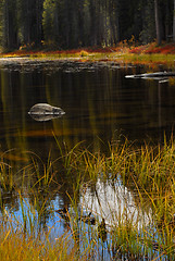 Image showing Blazing fall colors reflecting into a Yosemite Park pond