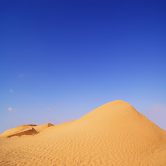 Image showing summer day in the desert