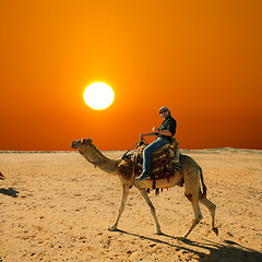 Image showing with the camel in the desert