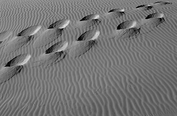 Image showing Footsteps in the sand dunes