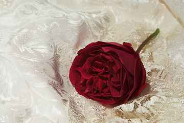 Image showing satin lace and red rose 2