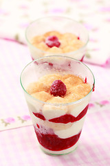 Image showing Frozen dessert with panna cotta and raspberries