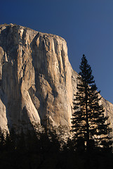 Image showing Morning sun hitting El Capitan in Yosemite National Park