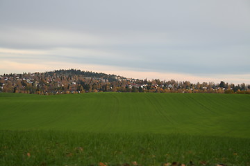 Image showing Green field