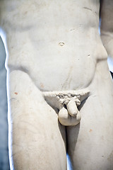 Image showing Body details - penis