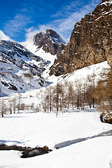 Image showing Sunny day on Alps