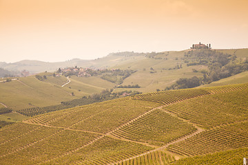 Image showing Tuscany vineyard