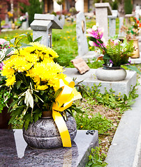 Image showing Cemetery architecture - Europe