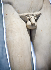 Image showing Body details - penis