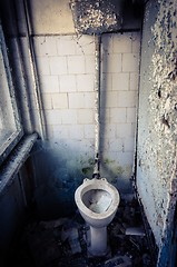 Image showing A very comfortable toilet in Chernobyl Area