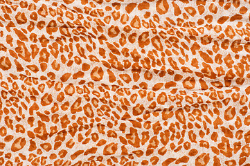 Image showing Abstract Leopard texture closeup