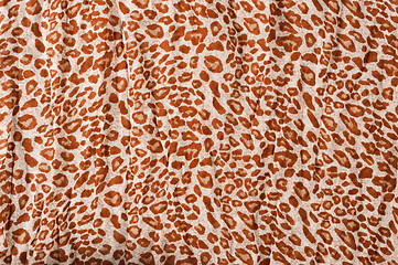 Image showing Abstract Leopard texture