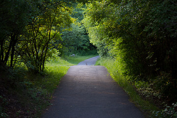 Image showing Nature trail
