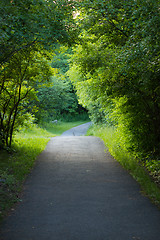 Image showing Nature trail