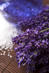 Image showing Lavender flowers with the bath salt and essential oil